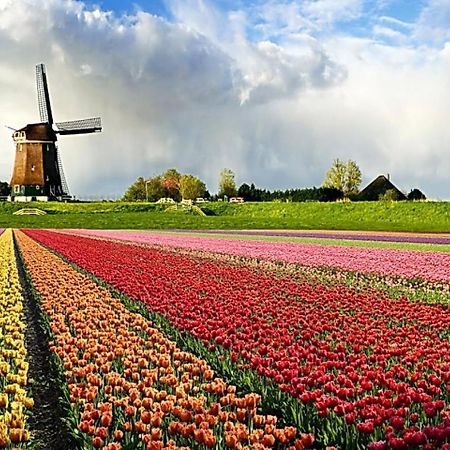 Logeren Op Dijk43 Broek op Langedijk Quarto foto