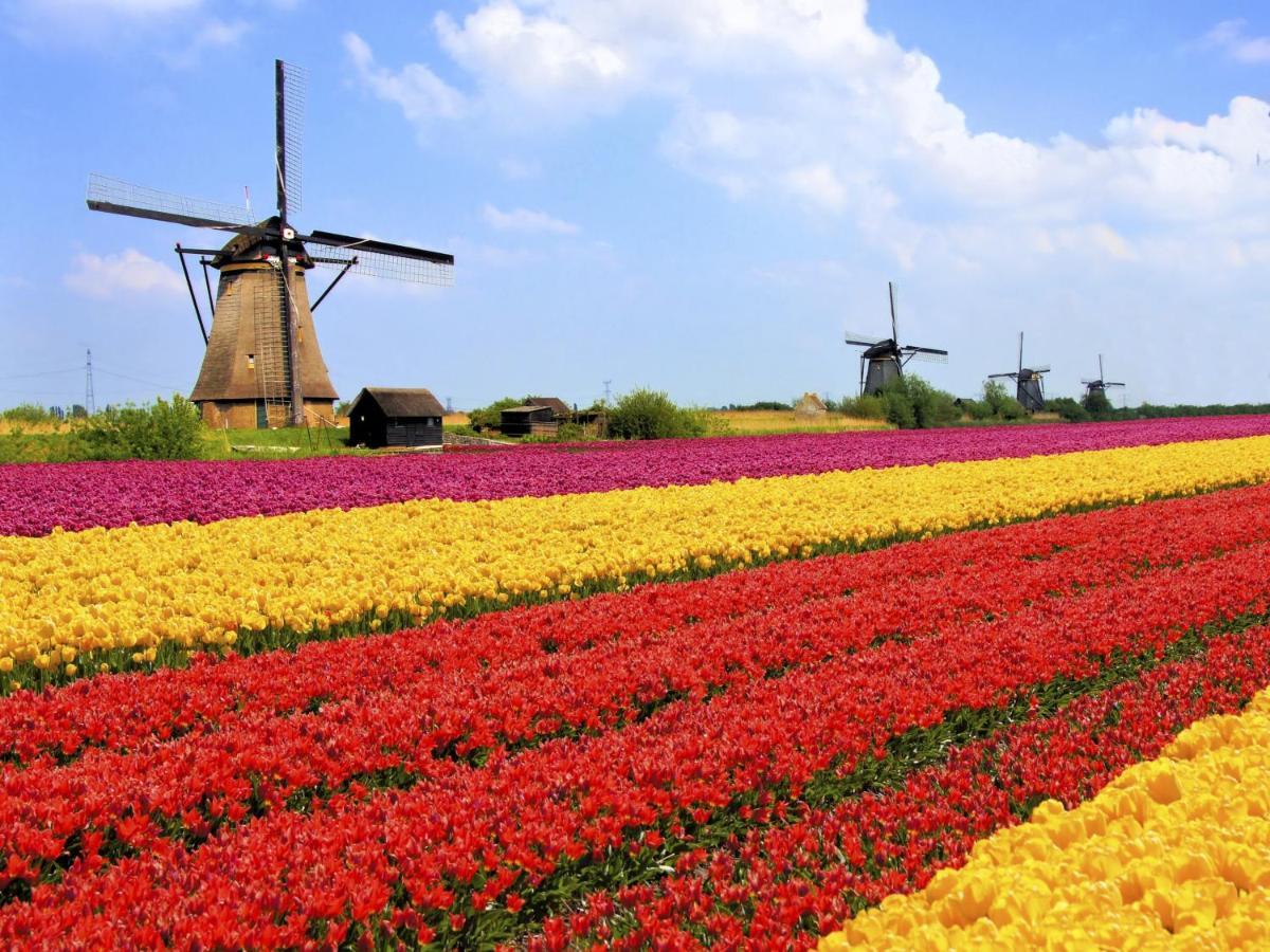 Logeren Op Dijk43 Broek op Langedijk Exterior foto